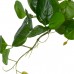 GloboStar® Artificial Garden HANGING PEPEROMIA 20599 Τεχνητό Διακοσμητικό Κρεμαστό Φυτό Πεπερόμια Μ30 x Π31 x Υ50cm