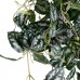 GloboStar® Artificial Garden SATIN POTHOS HANGING 20242 Τεχνητό Διακοσμητικό Κρεμαστό Φυτό Ασημένια Άμπελός - Πόθος Υ120cm 