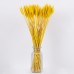 GloboStar® BARLEY 36552 Αποξηραμένο Φυτό Κριθάρι - Μπουκέτο Διακοσμητικών Κλαδιών Μπεζ - Κίτρινο Υ60cm