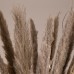 GloboStar® PAMPASGRASS 36511 Αποξηραμένο Φυτό Γρασίδι της Πάμπας - Μπουκέτο Διακοσμητικών Κλαδιών Καφέ - Γκρι Υ80cm