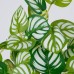 GloboStar® PEPEROMIA L.GREEN 78220 Τεχνητό Φυτό Πεπερόμια Αν.Πρ. - Μπουκέτο Διακοσμητικών Φυτών - Κλαδιών με Φύλλωμα Πράσινο - Κίτρινο - Λευκό Υ28cm