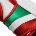 Πυγμαχικά Γάντια adidas adiSPEED PRO Mexican adiSBG501