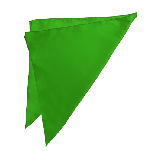 Wushu Σημαίες για Κινέζικα Σπαθιά Ζευγάρι - Πράσινο